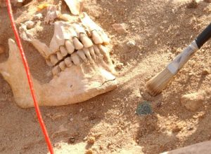 dna-revela-doencas-que-devastaram-o-exercito-de-napoleao-em-1812 dna-revela-doencas-que-devastaram-o-exercito-de-napoleao-em-1812