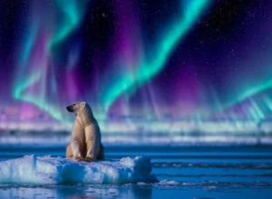 planetario-ibirapuera-tera-jornada-astronomica-imersiva-pelo-ceu-do-artico